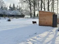 Gîte du Domaine de Grosmesnil