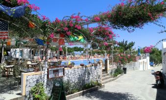 Santorini Camping & Hostel