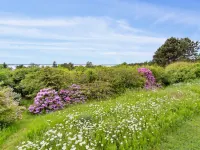 "Skamhals" - 440m to the Fjord Hotels in Frederiksvaerk