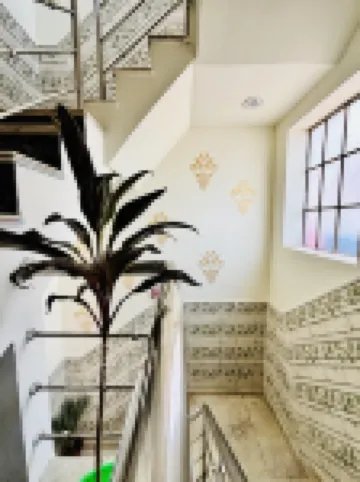 Hotel Royal Pinkcity