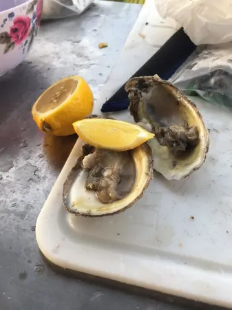 Amazing Pool & Canal Ground Level Home, Ocean access Отели в г. Биг-Пайн-Ки