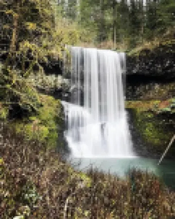 Silver Falls Luxury Studio-1/2 mi from Silver Falls