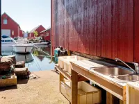 7 person holiday home in Bud Hôtels à : 