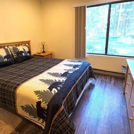 1 Bedroom Standard Condos