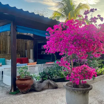 Kura Kura Resort Gili Meno