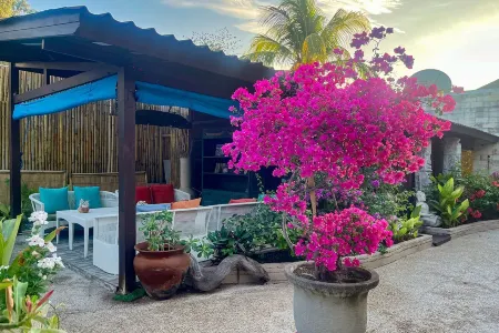 Kura Kura Resort Gili Meno Отели рядом с достопримечательностью «Гили Мено»