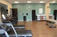 Holiday Inn Express & Suites FRANKLIN - BERRY FARMS by IHG - Gym