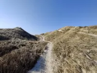 18 person holiday home in Fjerritslev