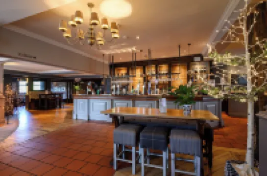 White Rabbit by Chef & Brewer Collection