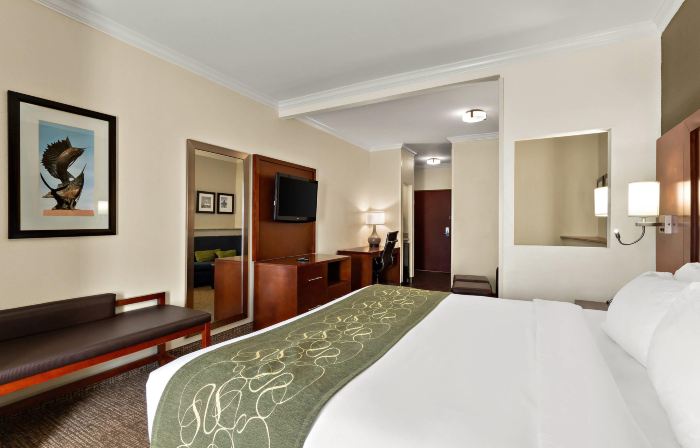 Comfort Suites Central