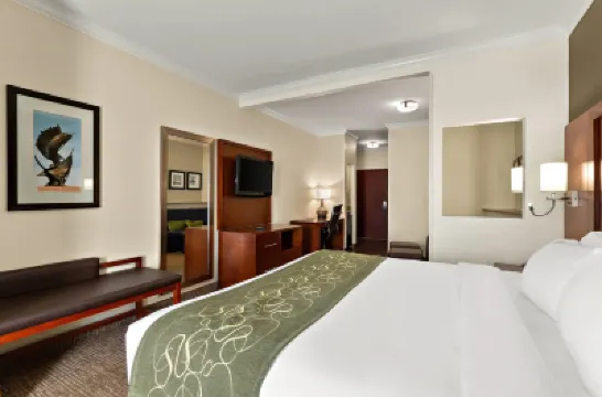 Comfort Suites Central Hotels in Nueces County