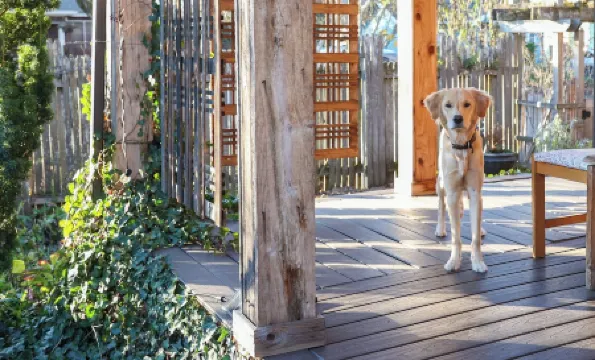 Entire Home in Downtown Eugene
