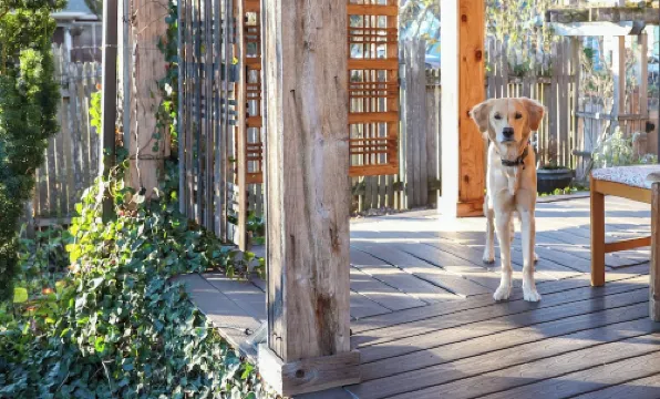 Entire Home in Downtown Eugene