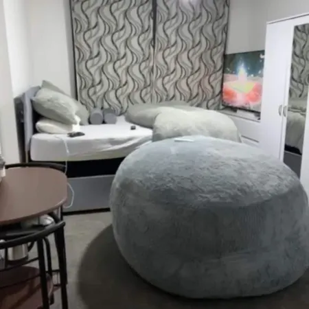 Cozy Studio Rental With Private Facilities in Greater London