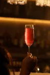 阿姆利則購物路萬豪行政公寓 - 酒吧