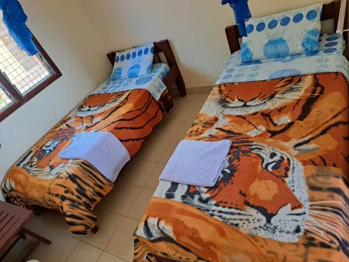 Kwale Golden Guest House - Homestay