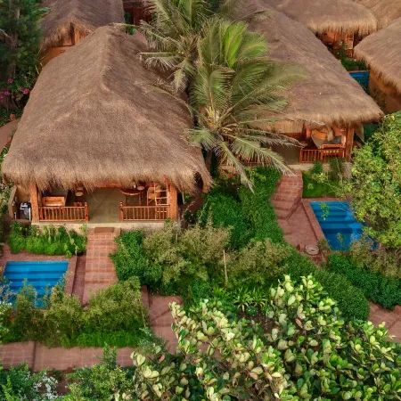 Palm Grove Beach Resort