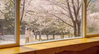 Mungyeong Between Mountains Pet Pension - Mountain view