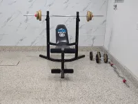 Calgary Downtown Guest House - Homestays