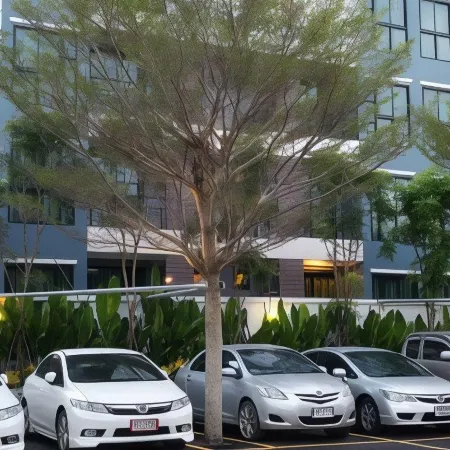 Woodroof Residence Rangsit