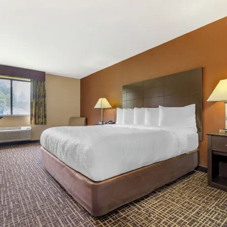 Quality Inn & Suites Caseyville - St. Louis