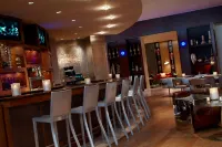 Renaissance St. Louis Airport Hotel - bar
