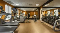 Hilton Garden Inn Houston/Galleria Area - spa