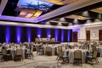 JW Marriott San Antonio Hill Country Resort & Spa - واي فاي