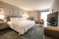Hilton Garden Inn Asheville South - bar