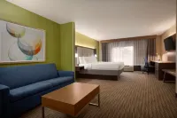 Holiday Inn Express & Suites ATLANTA-CUMMING by IHG - Wifi