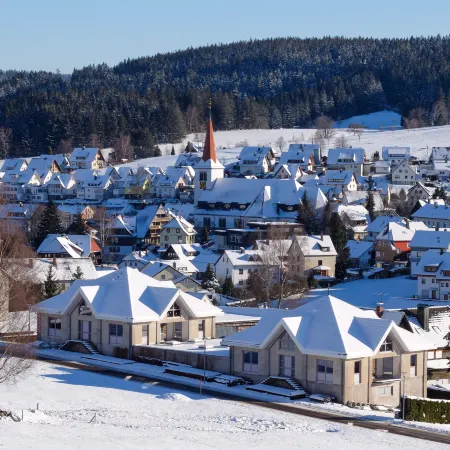 Schwarzwaldblick