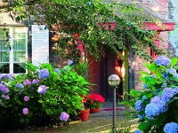 Pension Marienhof Hotels in Alken