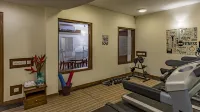 Radisson Goa Candolim - С тренажерным залом