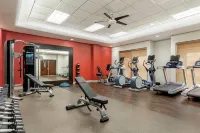 Embassy Suites by Hilton Convention Center Las Vegas - Gym