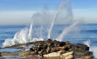 Sunrise Inn San Diego - Housity