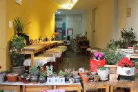 Tongyeong Semiee Guest House - Pensions