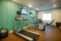 Holiday Inn Express & Suites Beaumont NW Parkdale Mall by IHG - gimnasio