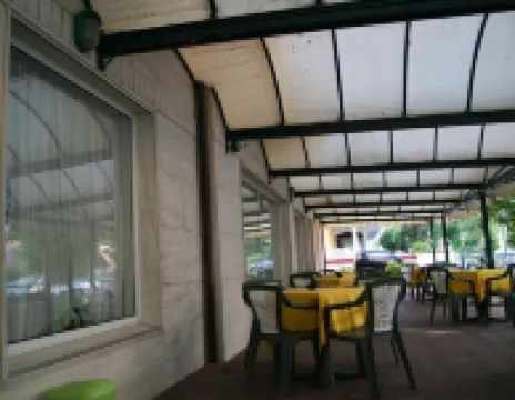 阿隆裡米尼飯店