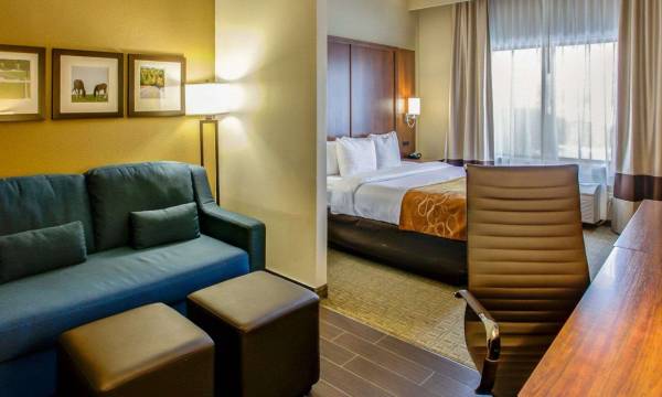 Comfort Suites Georgetown