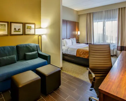 Comfort Suites Georgetown - Pools