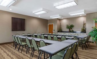 Comfort Inn & Suites Orangeburg