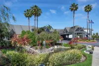 Hilton San Diego/Del Mar فنادق في سولانا بيتش