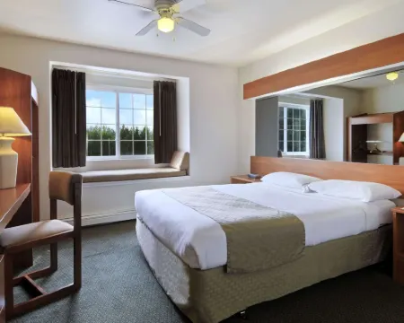 Microtel Inn & Suites by Wyndham Eagle River/Anchorage Are Hotels in Anchorage