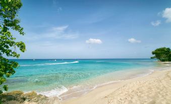 a beautiful beach with clear blue water and white sand , under a sunny sky filled with boats at Beach View Hotel