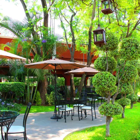 Meson del Valle