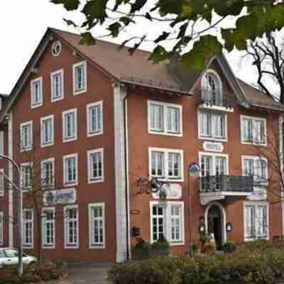 奧爾加的酒店 Hotel Exterior