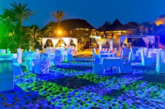 Royal Horizon Baobab