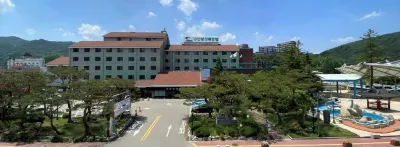 수안보상록호텔(3성 관광호텔) 대미산 악어봉 주변 호텔