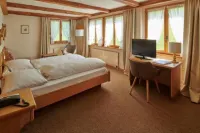 Hotel Alphorn Hotels in Gstaad