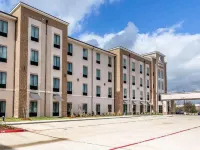 Comfort Suites Near Sam Houston Race Park Hotels near Willowbrook